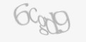 /component/jcomments/captcha/24187.html