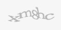 /component/jcomments/captcha/47246.html