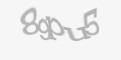 /component/jcomments/captcha/60961.html